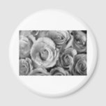 Bouquet of Roses with Water Drops in Black and Whi magnets