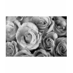 Bouquet of Roses with Water Drops in Black and Whi t-shirts