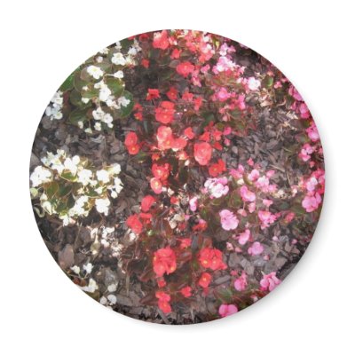 Bouquet of Sexual Desire Refrigerator Magnet by PaulaAndrea