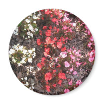 Bouquet of Sexual Desire magnets by PaulaAndrea Bouquet of Sexual Desire magnets