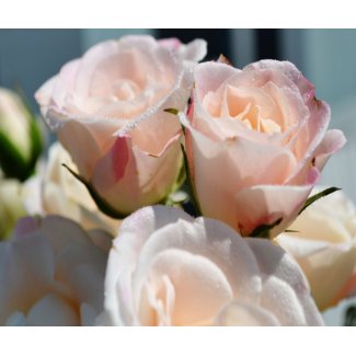 Bouquet of Spray Roses Mousepad mousepad