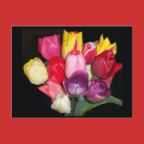 Bouquet of Tulips Postcard postcard