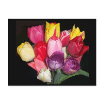 Bouquet of Tulips Postcard