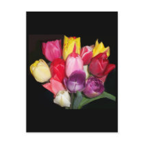 Bouquet of Tulips Postcard