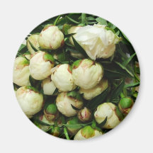 Bouquet of White Buds Magnet