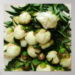 Bouquet of White Peony Buds Framed Print