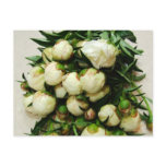 Bouquet of White Peony Buds Postcard