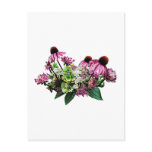 Bouquet with Coneflowers Post Cards