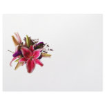 Bouquet With Stargazer Lilies Letterhead Template