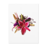 Bouquet With Stargazer Lilies Postcards