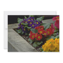 Bouquets On Ground Custom Announcements