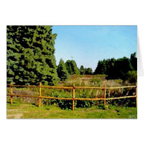Bourg Du Pabos cards by Littlewolf Bourg Du Pabos cards