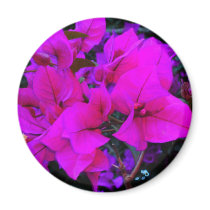 bourgenvilla magnets