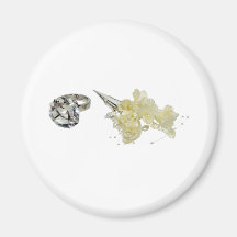 BoutanniereEngagementRing081309 Magnet