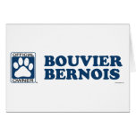 Bouvier Bernois Blue cards