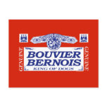 Bouvier Bernois postcards