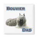 Bouvier Dad 4 - Magnet
