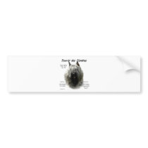 Bouvier des Flandres History Design Bumper Sticker