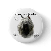 Bouvier des Flandres History Design Pinback Buttons