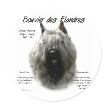 Bouvier des Flandres History Design Round Stickers