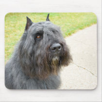 Bouvier des Flandres mousepads