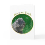 Bouvier Des Flandres Peace
