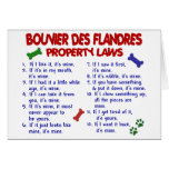BOUVIER DES FLANDRES Property Laws 2 Card