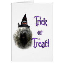 Bouvier des Flandres Trick cards