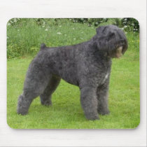 Bouvier Mousepad mousepads