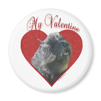 Bouvier My Valentine - Magnet