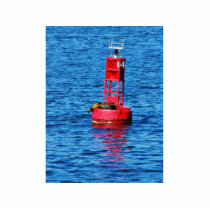 Bouy In San Diego Bay With A Seal On It photo sculptures