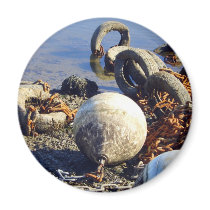 Bouys in chains magnets
