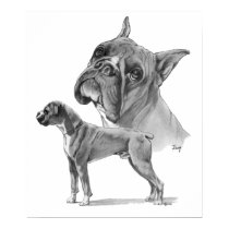 Bover Dogs posters
