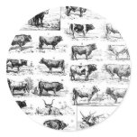 Bovine Chart Sticker