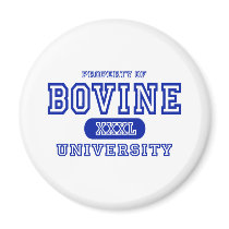 Bovine University magnets by universityshirts Bovine University magnets