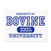 Bovine University postcards by universityshirts Bovine University postcards