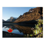 Bow Lake & Glacier Post Card