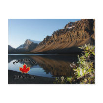 Bow Lake & Glacier Post Card
