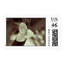bow postage
