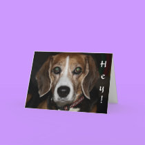Bow-wowy Christmas - Dog's Holiday Greeting Card cards