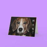 Bow-wowy Christmas - Dog's Holiday Greeting Card