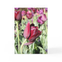 Bowing tulip card