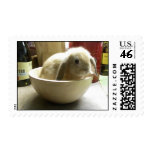 Bowl Bunny Postage