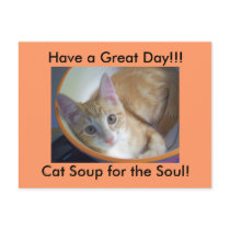 Bowl me over. postcards by KatAnnette Bowl me over. postcards