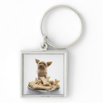 Bowl of dog treats by Yorkshire Terrier Key Chains