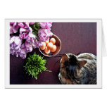 Bowl of eggs. Snapshot 1 Cards