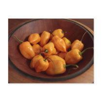 Bowl of habanero peppers, Traditional food Post Card