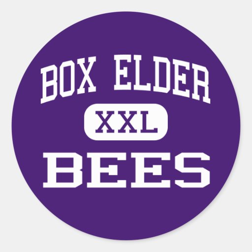 Box Elder Bees High School Brigham City Utah Classic Round