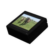 Box - Horse Trinket Box