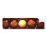 Box of Chocolates Bumper Sticker
